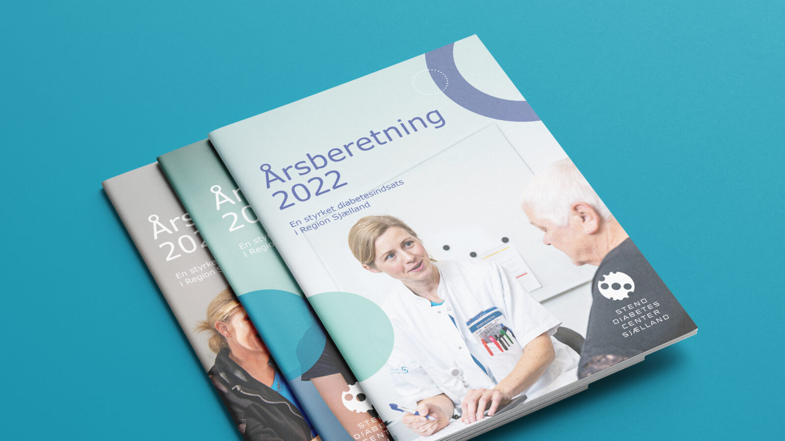 Steno årsberetning