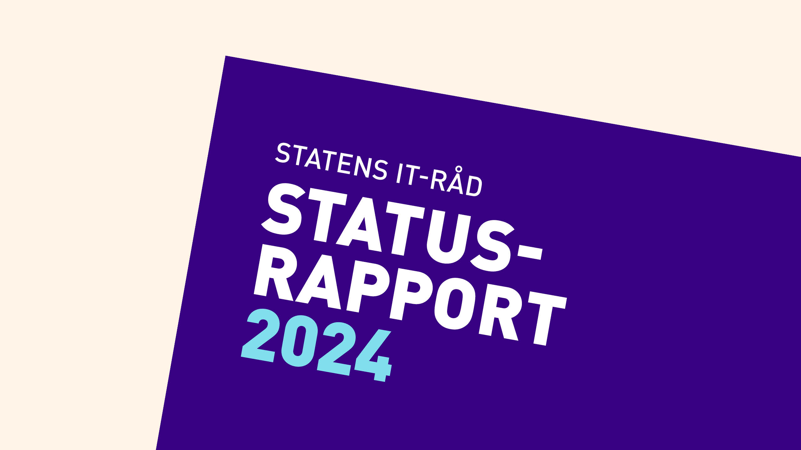 CASE_Statens-it-raad_2025_SD