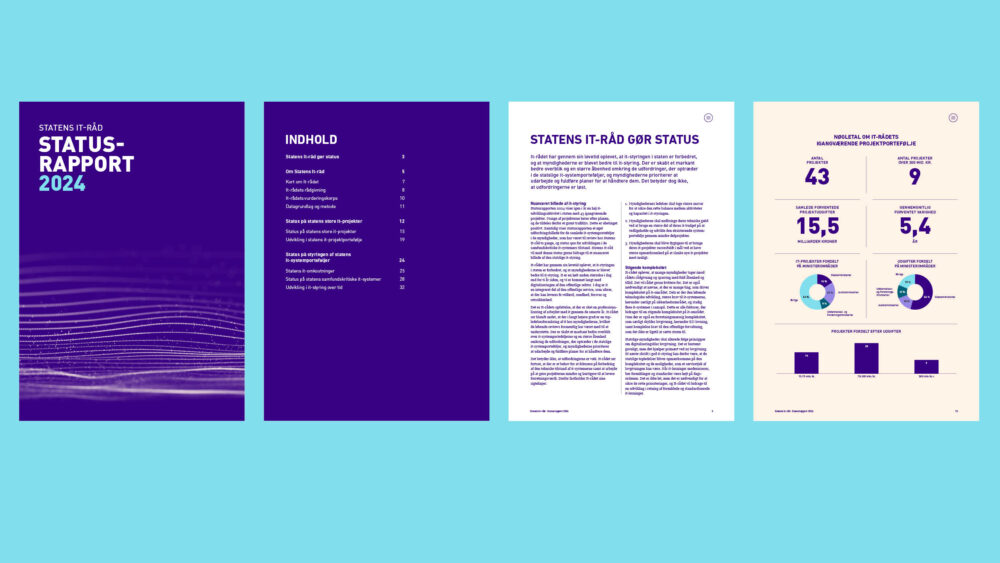 CASE_Statens-it-raad_2025_SD2
