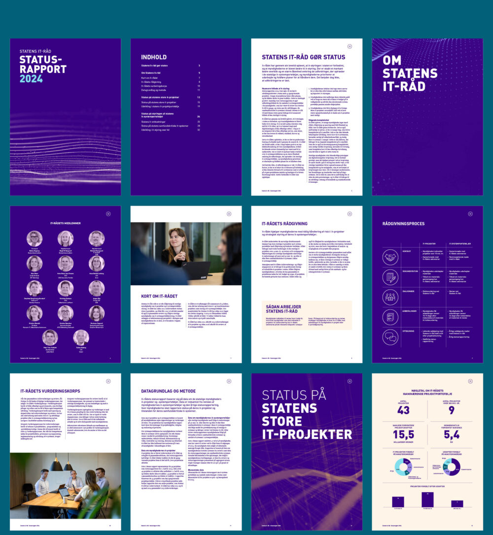 Statens It-Råd Statusrapport 2024