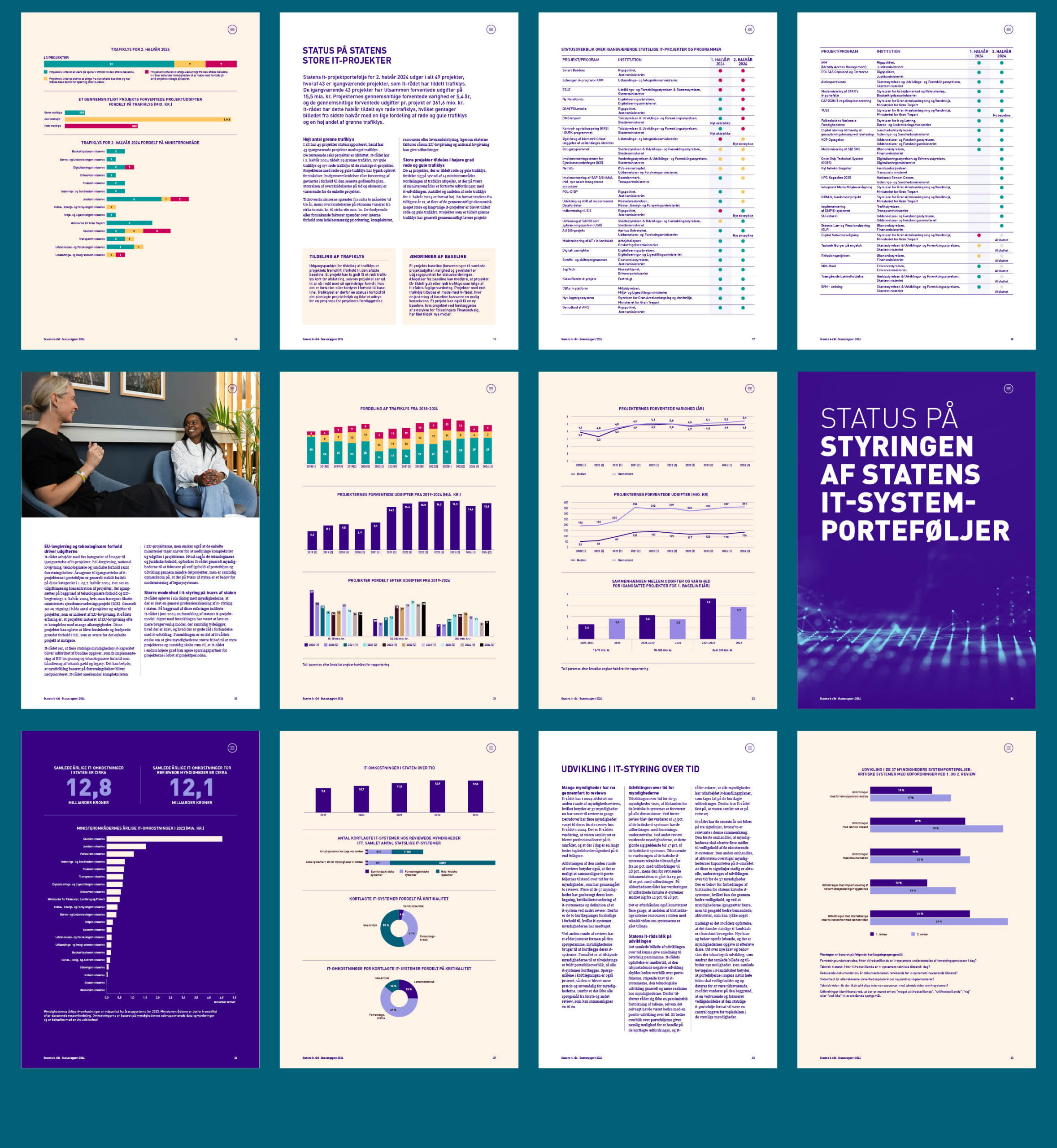 Statens It-Råd Statusrapport 2024