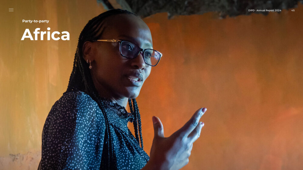 DIPD årsrapport 2024
